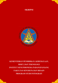 Analisis karya julien de wilde dalam foto 